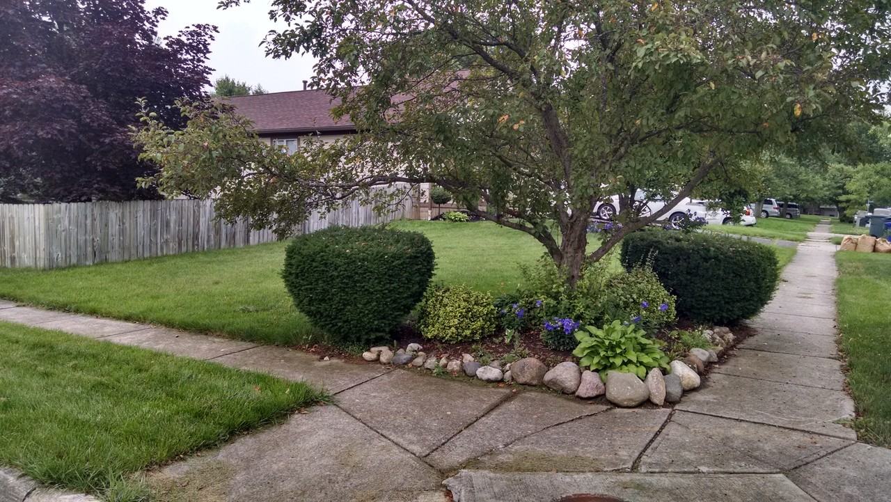 5244 Wagon Wheel Ln #NA - Photo 3 of 38