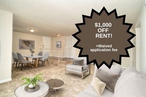 featured image of 3613 Silver Park Dr