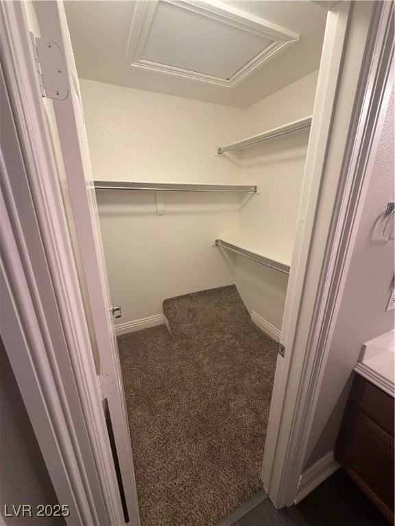 6732 Lavender Lilly Ln #2 - Photo 5 of 18