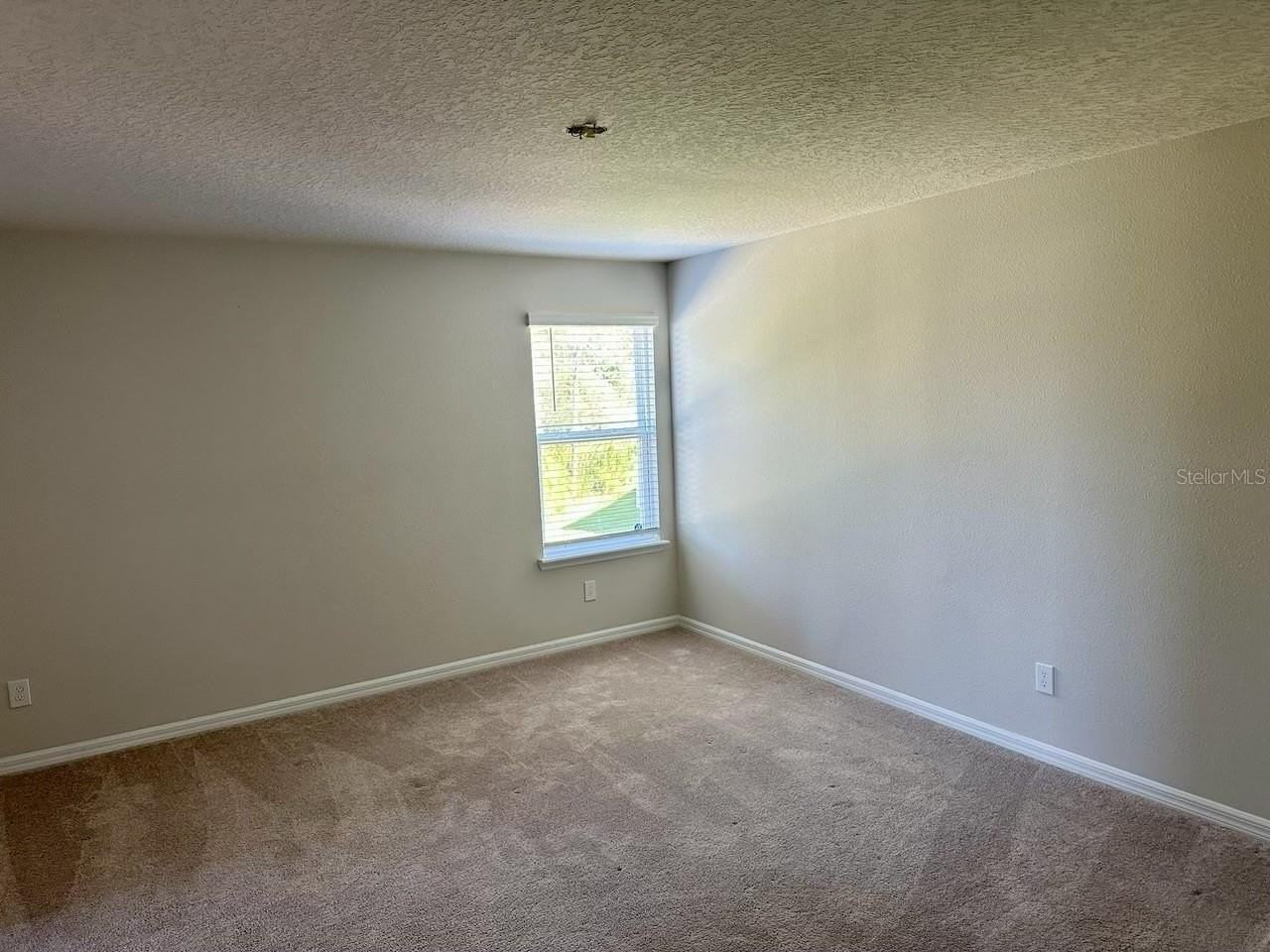 3876 Crawley Down Loop - Photo 4 of 7