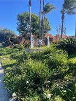 6600 Warner Ave #181 - Photo 1 of 1