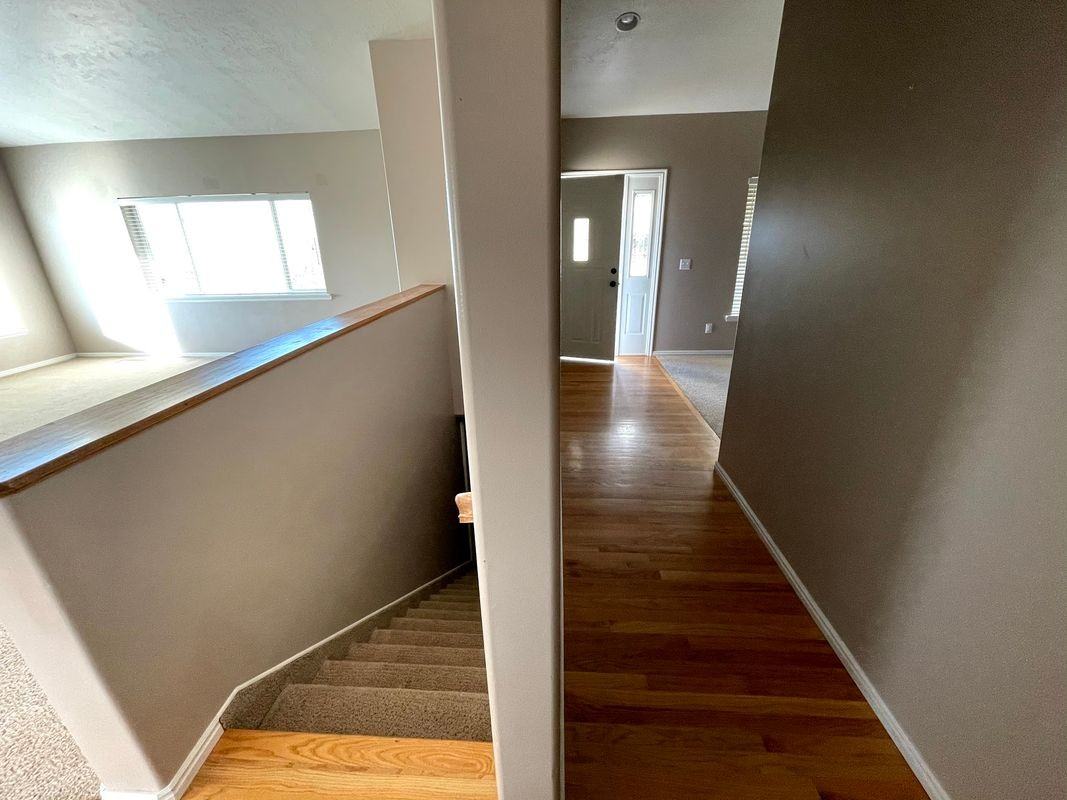 372 Paulette Way - Photo 3 of 14