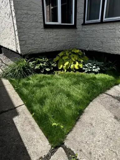 1810 Ross Ave W - Photo 3 of 30