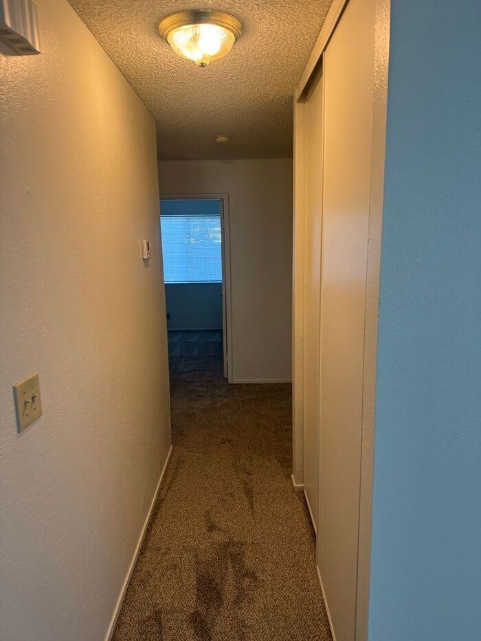 33592 Stephano Ct - Photo 4 of 16