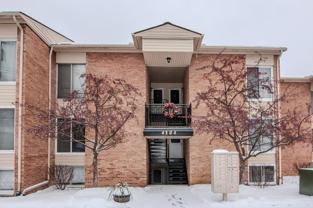 4194 Packard Street - 1Apt 1 #1 - Photo 1 of 1