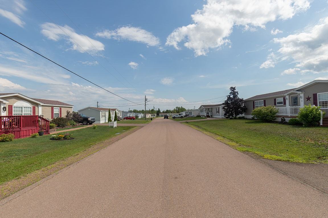 Pine Tree Village - Photo 5 of 13