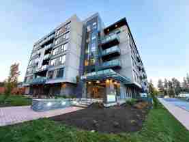 The Monarch - Photo 1 of 1