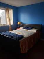 featured image of Meadowvale Rd & Lavery Trail