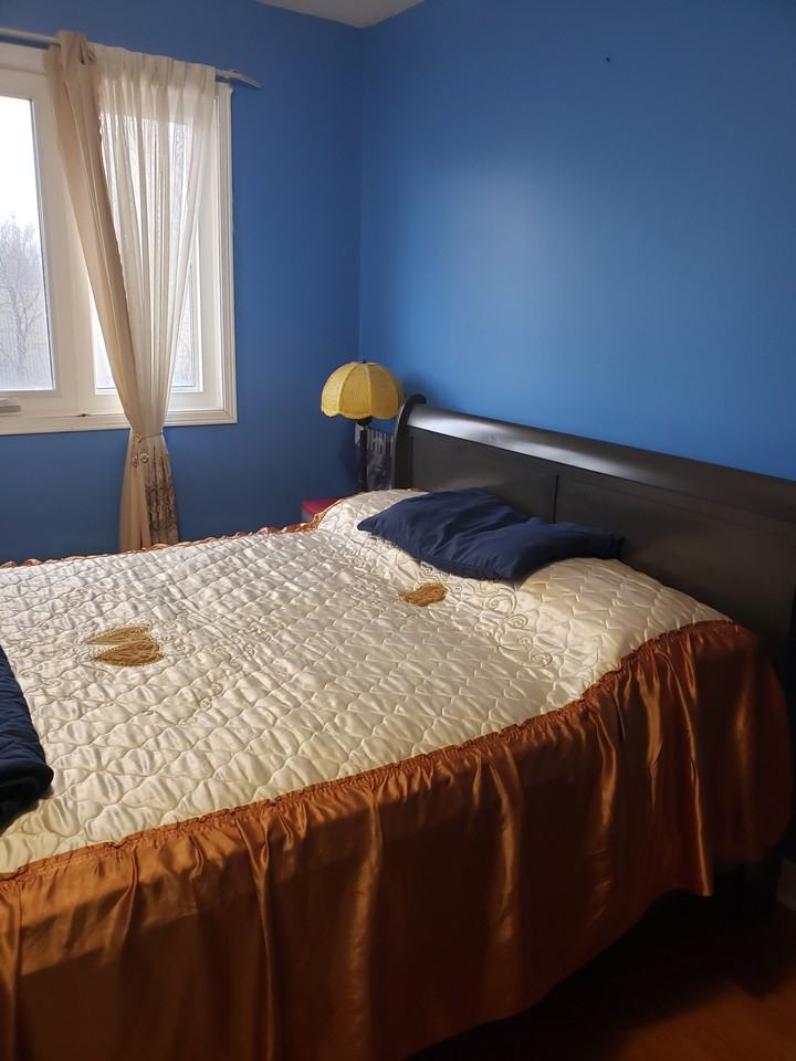 Meadowvale Rd & Lavery Trail - Photo 3 of 9