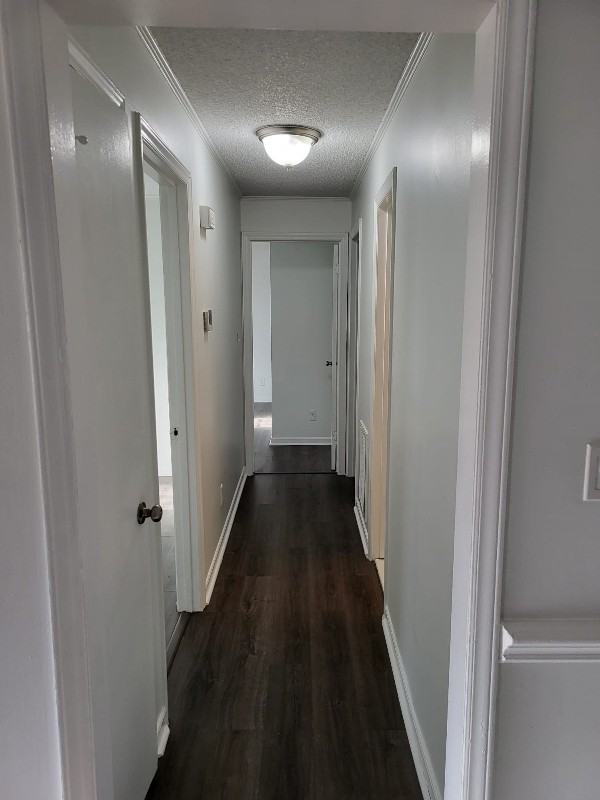 3936 Trescott Ct - Photo 5 of 16