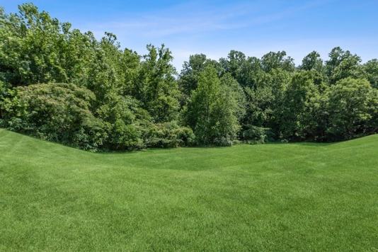 Bridge Property Management 3 of 4