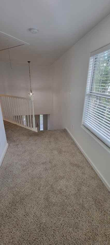 3116 Bolt St #3116 - Photo 3 of 14