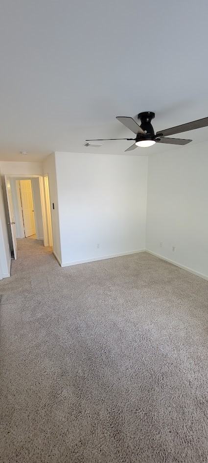 3116 Bolt St #3116 - Photo 6 of 14