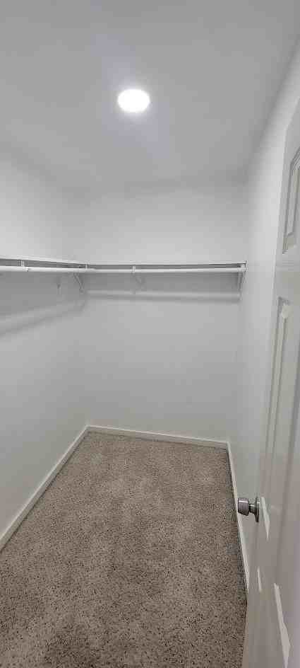 3116 Bolt St #3116 - Photo 7 of 14