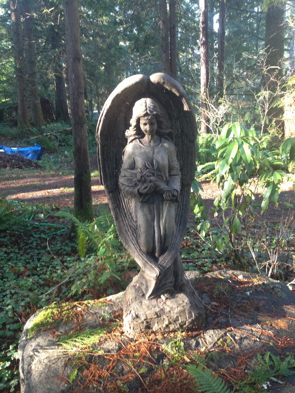 51603 Skyko Dr - Photo 7 of 11