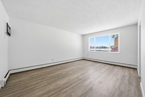 featured image of 37 Sheppard St