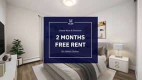 Countess - Photo 1 of 1