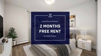 Countess - Photo 1 of 1