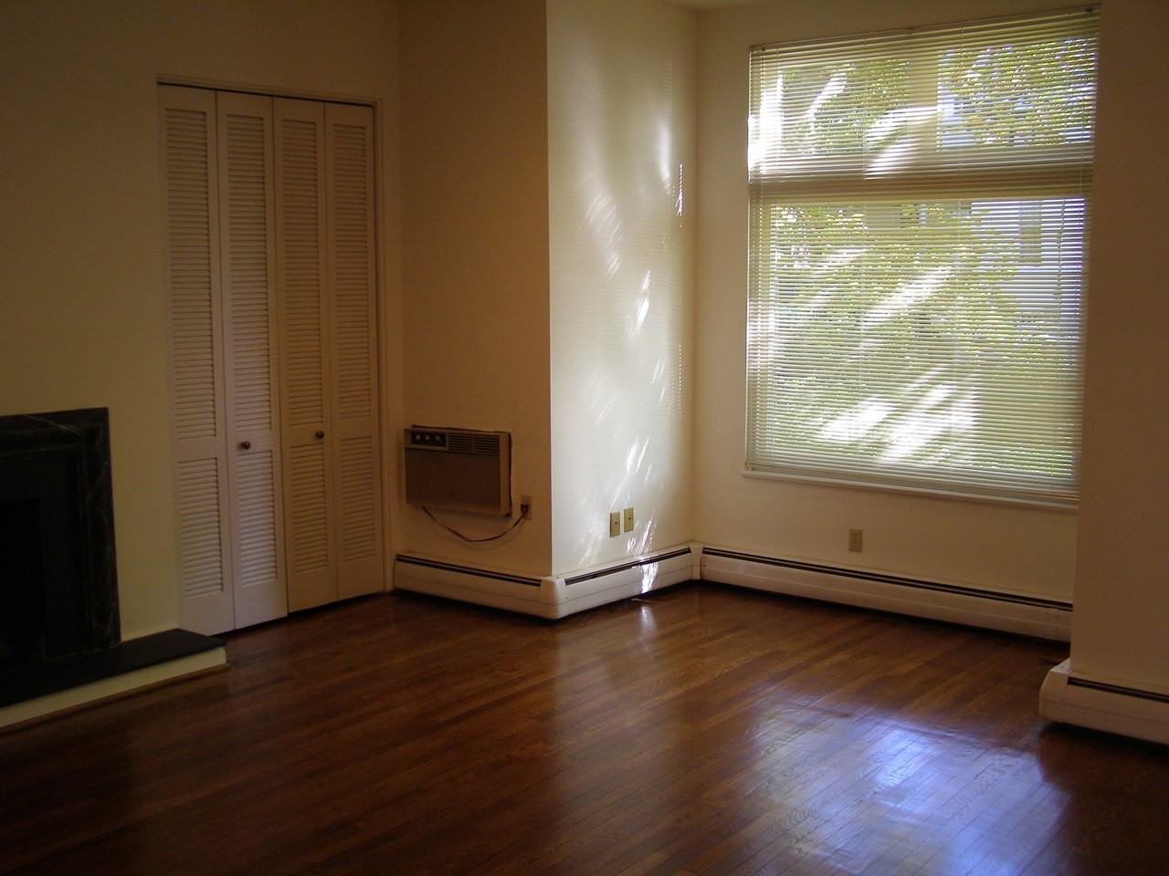 517 Shady Ave #12 - Photo 3 of 4