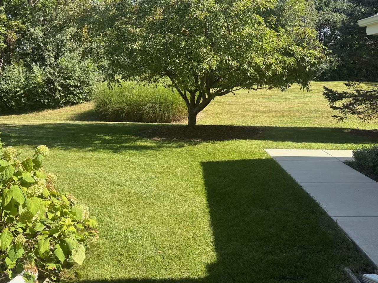 8976 Woodbridge Dr #8976 - Photo 3 of 12