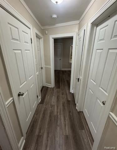 10407 Roxbury St - Photo 7 of 14