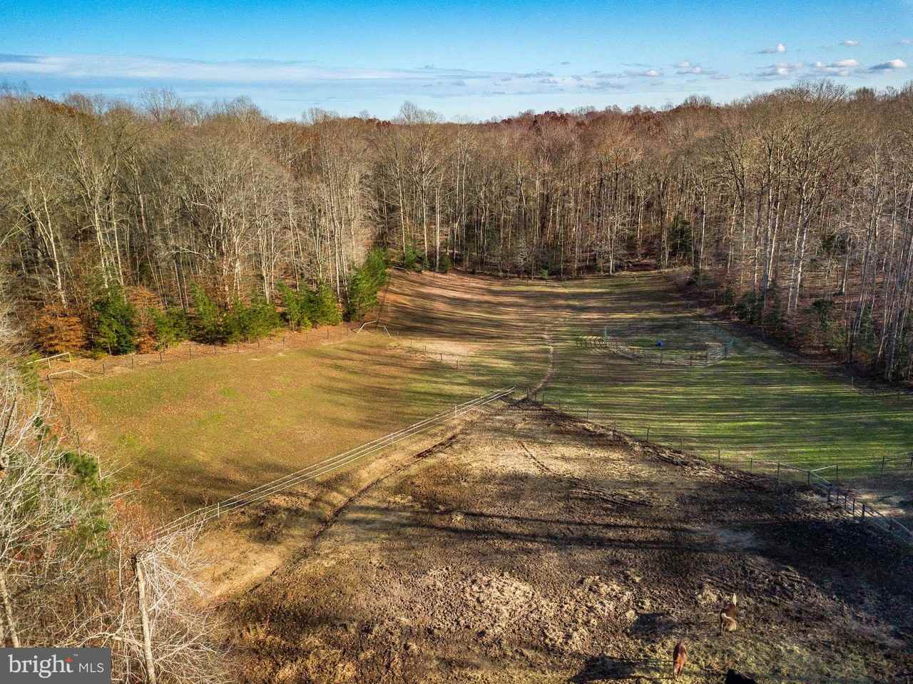 24900 Fox Run Ln - Photo 2 of 50