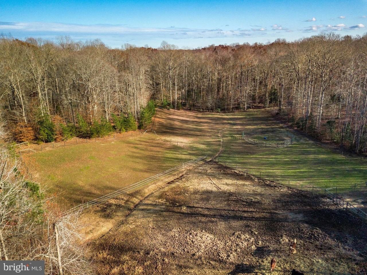 24900 Fox Run Ln - Photo 3 of 50