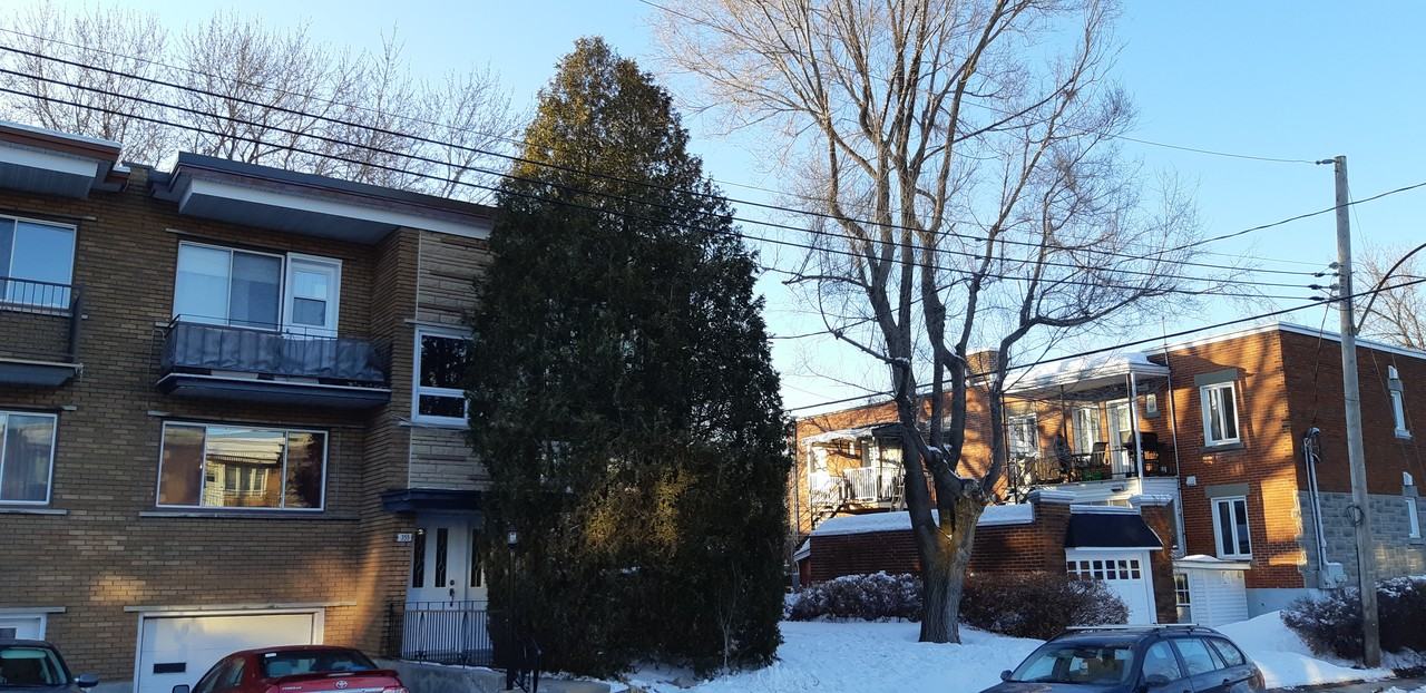 355 Avenue Lippens - Photo 2 of 12