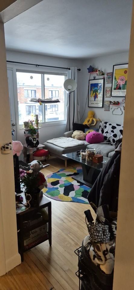 355 Avenue Lippens - Photo 4 of 12