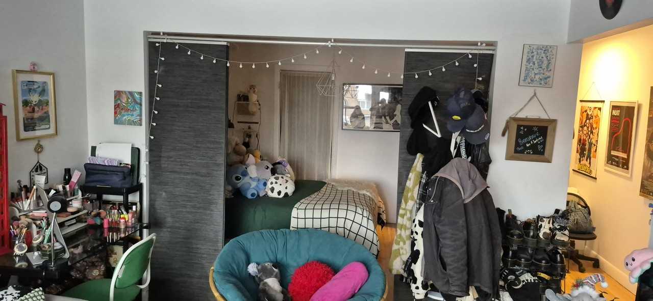 355 Avenue Lippens - Photo 6 of 12