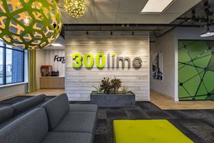 300 Lime - Photo 1 of 1