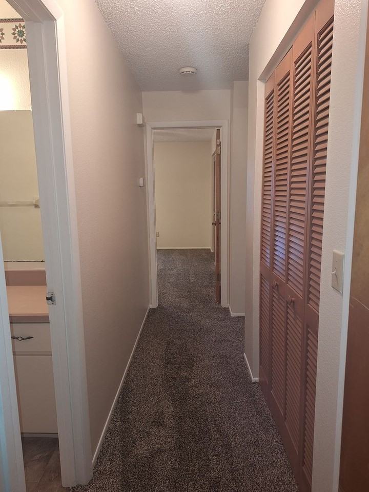 423 Falcon Ave - Photo 7 of 12