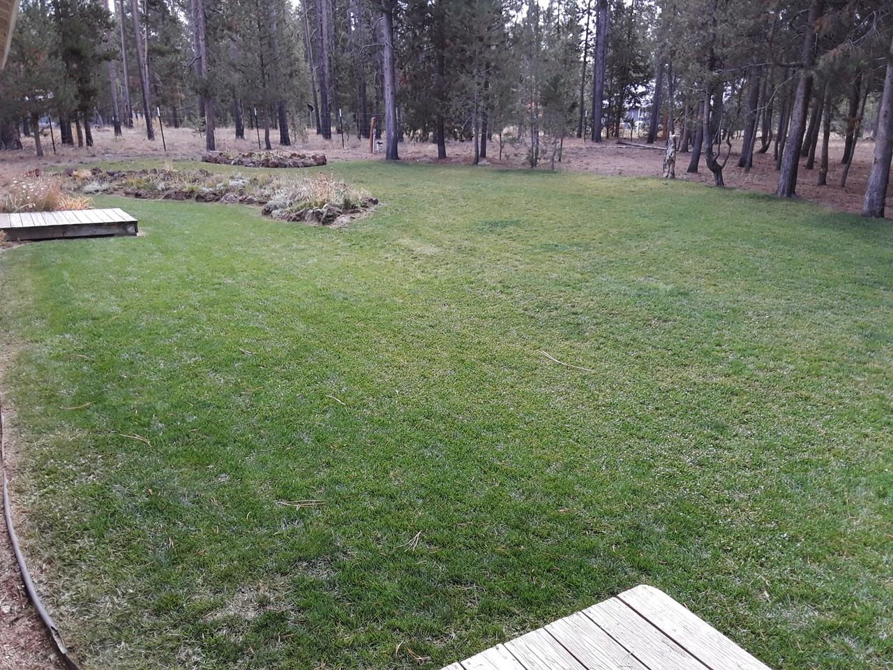 16293 Lava Dr - Photo 4 of 16