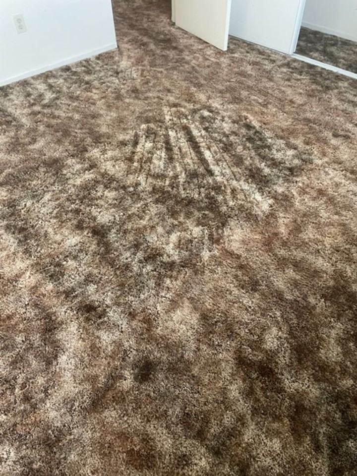 305 Santo Dr - Photo 5 of 25