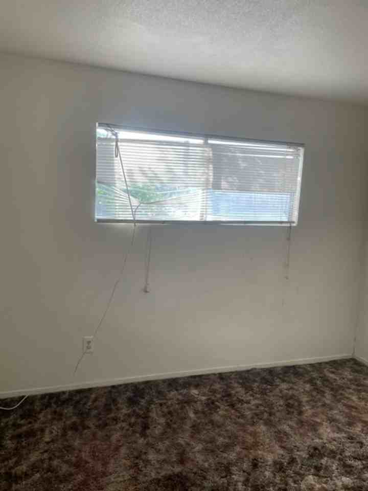 305 Santo Dr - Photo 7 of 25