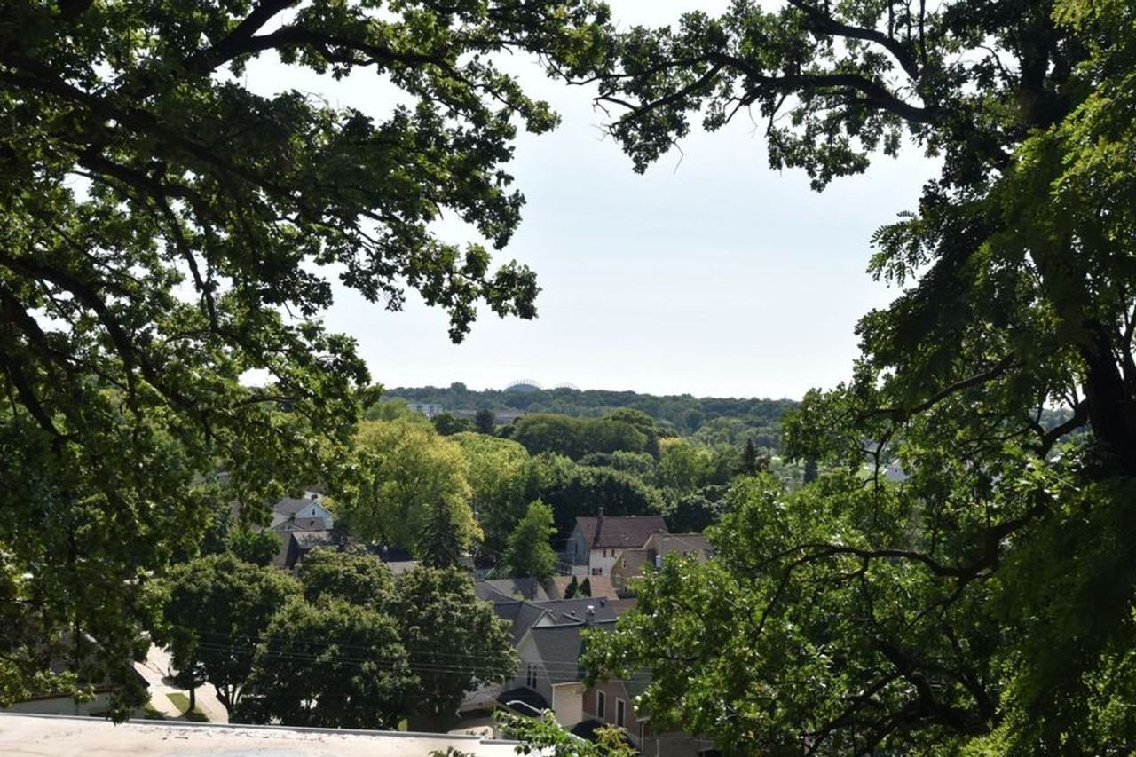 1503 Mower Ct - Photo 7 of 20