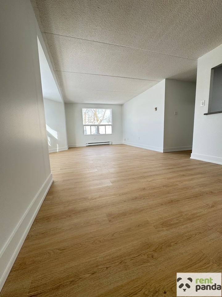 56 Donald St #305 - Photo 2 of 11