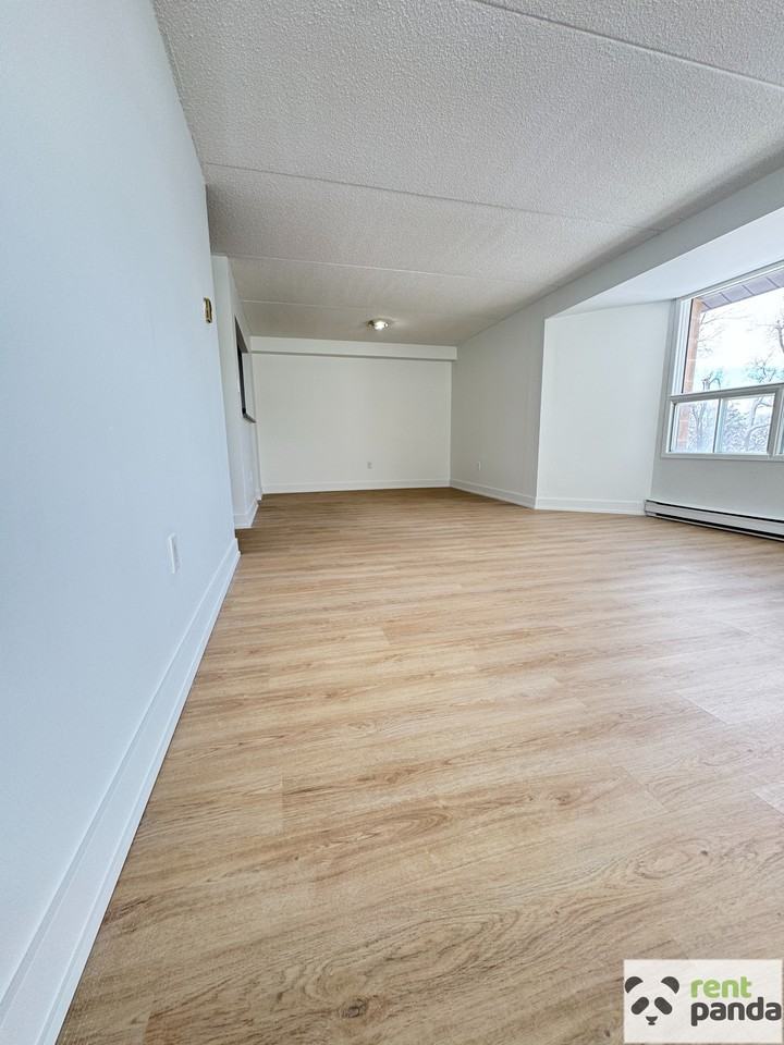 56 Donald St #305 - Photo 4 of 11