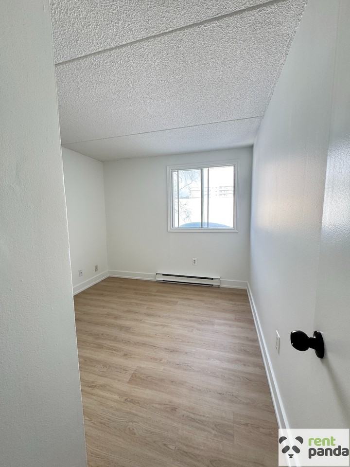 56 Donald St #305 - Photo 5 of 11