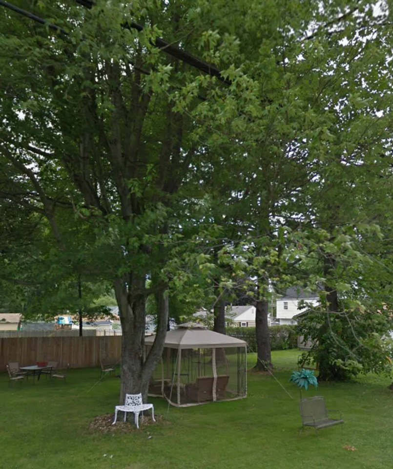 3639 Shelby Rd - Photo 4 of 11