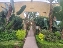 4437-4441 3/4 Willow Brook Ave. - Photo 1 of 1