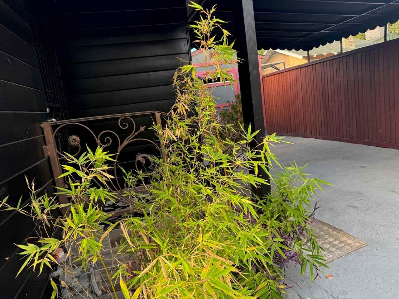 1200 Tamarind Ave #NA - Photo 5 of 20