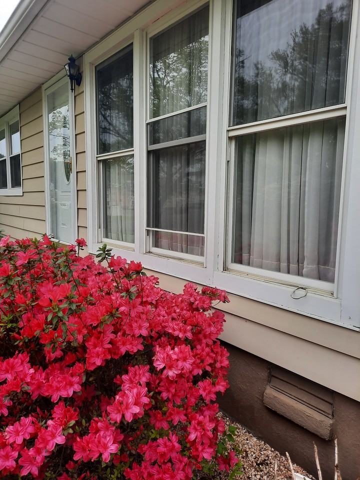 5213 Evelyn Dr #NA - Photo 6 of 10