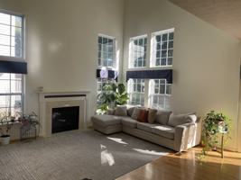 featured image of 12407 Diploma Dr #NA