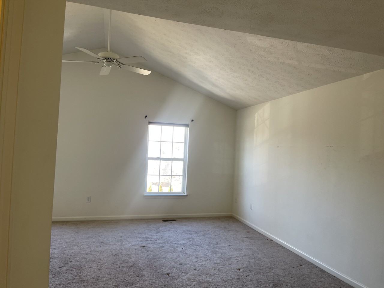 12407 Diploma Dr #NA - Photo 3 of 19