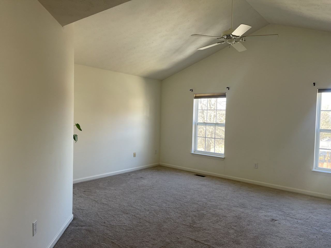 12407 Diploma Dr #NA - Photo 5 of 19