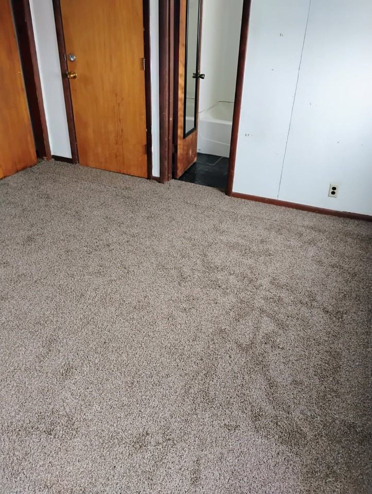 1508 Ridge Ave #3 - Photo 6 of 11