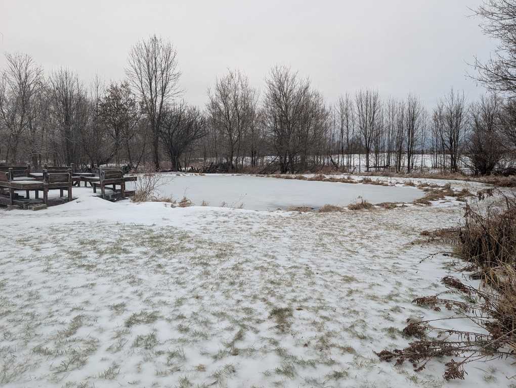 1690 W Wirtz Rd - Photo 3 of 12