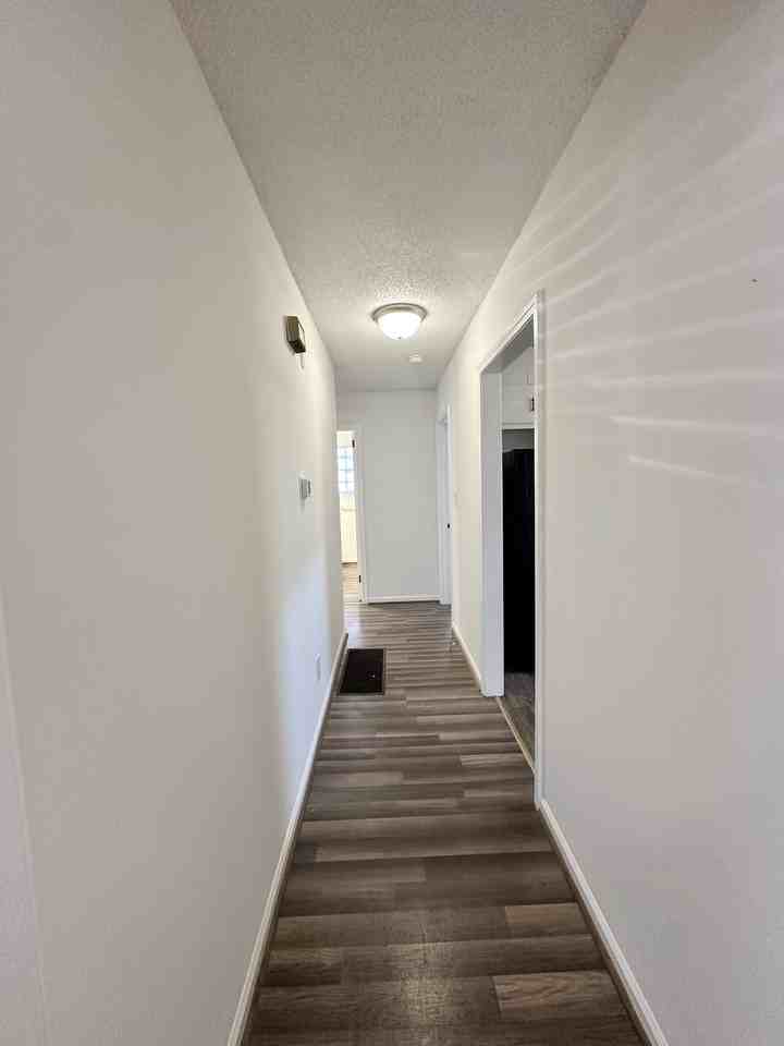 903 Rose Ave #1 - Photo 6 of 7