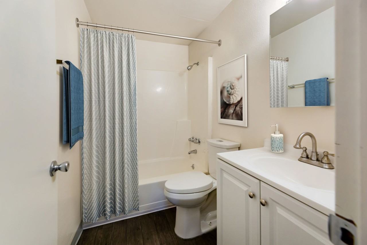 Scottsdale Park Apartments - Photo 5 of 30